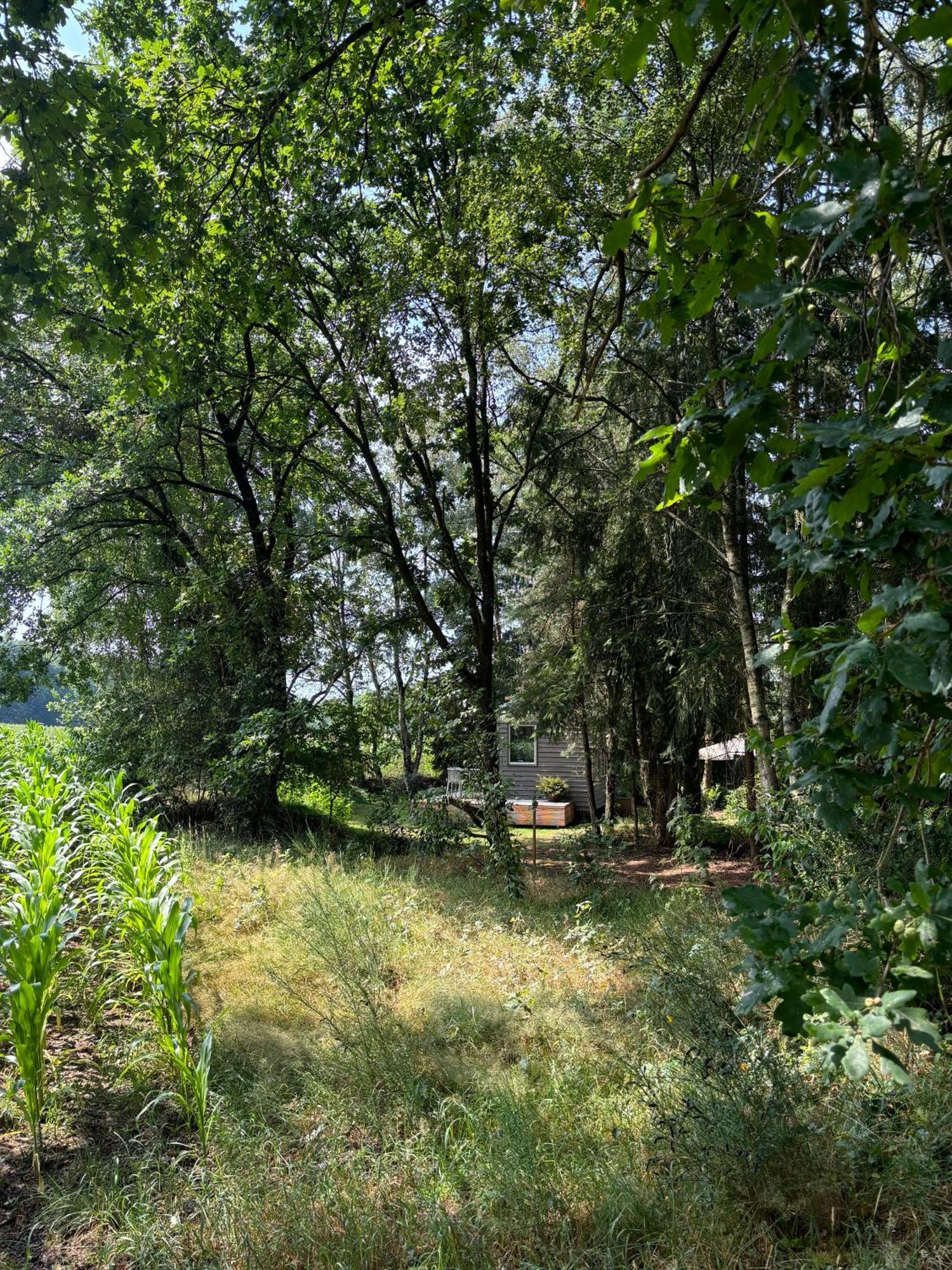 Tiny House Mit Garten In Der Lueneburger Heide Soltau Zewnętrze zdjęcie
